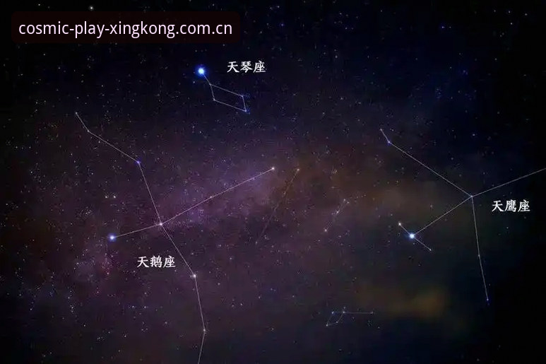星空体育极速对比完整指南：如何选择最适合你的移动端方案